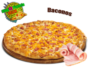  BACONOS